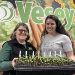 veseys-seeds-customers-consider-political-climate,-temperatures-when-choosing-what-to-grow