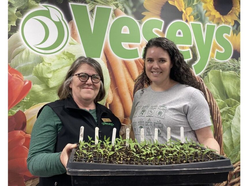 veseys-seeds-customers-consider-political-climate,-temperatures-when-choosing-what-to-grow
