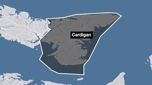 meet-the-6-people-running-federally-in-pei.’s-cardigan-riding