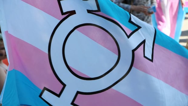 praise,-criticism-aimed-at-manitoba-plan-to-add-gender-expression-to-human-rights-code