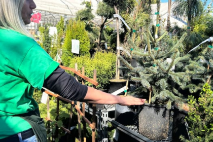 is-climate-change-uprooting-the-traditional-garden?