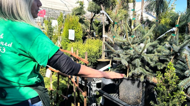 is-climate-change-uprooting-the-traditional-garden?