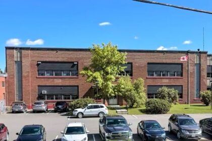 bat-problem-to-force-plaster-rock-school-to-close-for-rest-of-academic-year