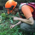 i-work-in-forestry.-i-feel-torn-as-a-voter-between-my-livelihood-and-climate-action