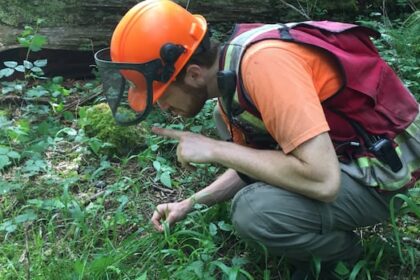 i-work-in-forestry.-i-feel-torn-as-a-voter-between-my-livelihood-and-climate-action