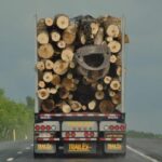 nb.-premier’s-internal-trade-moves-don’t-touch-industry-protection