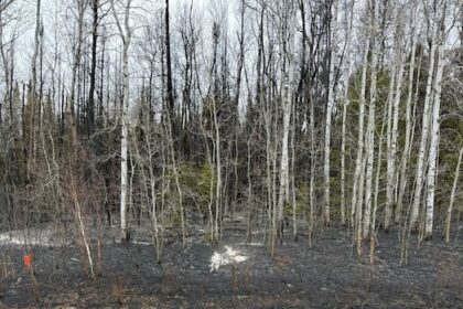 residents-forced-out-by-grass-fire-in-traverse-bay-can-return-home