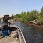 meet-the-people-trying-to-keep-a-prehistoric-fish-alive