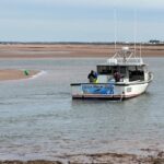 lobster-boats-stranded-outside-harbour-on-pei.’s-north-shore:-‘it’s-not-a-good-scenario’