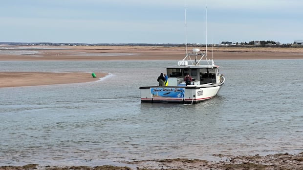 lobster-boats-stranded-outside-harbour-on-pei.’s-north-shore:-‘it’s-not-a-good-scenario’