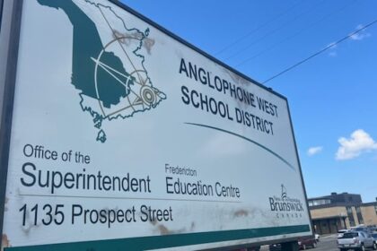 school-library-staff-eliminated-across-anglophone-west-as-part-of-cost-cuts-for-next-year
