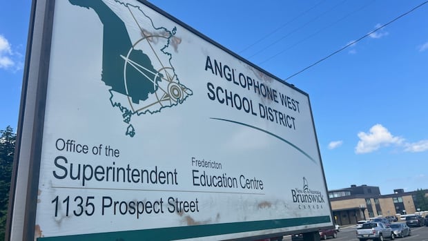 school-library-staff-eliminated-across-anglophone-west-as-part-of-cost-cuts-for-next-year