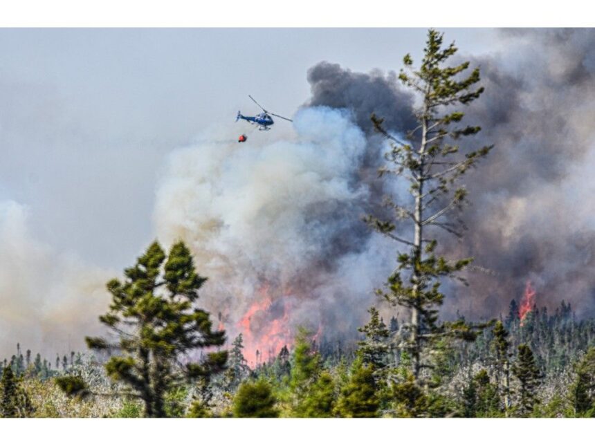 province-makes-$25,000-fine-for-illegal-burning-a-permanent-penalty