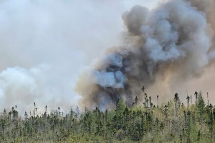 $25k-fine-for-illegal-burning-in-nova-scotia-made-permanent