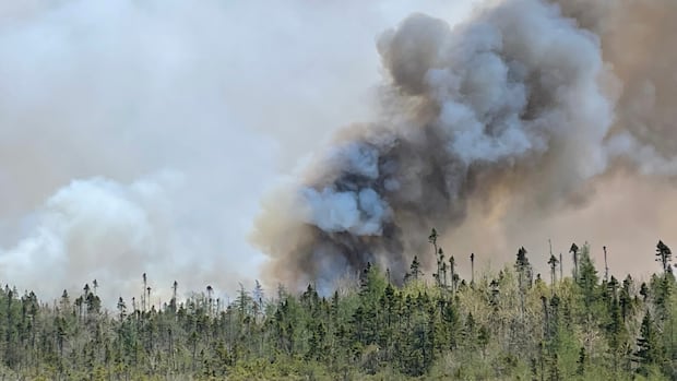 $25k-fine-for-illegal-burning-in-nova-scotia-made-permanent