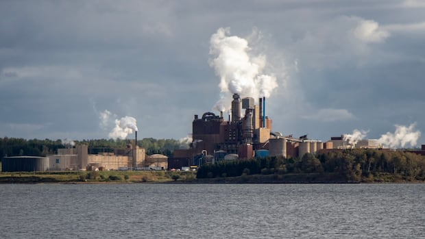 bc.-judge-grants-northern-pulp-more-time-to-prepare-sales-process