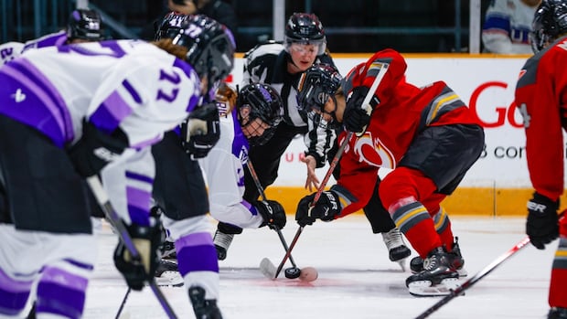 3-teams,-2-playoff-spots:-everything-to-play-for-on-final-day-of-pwhl-regular-season