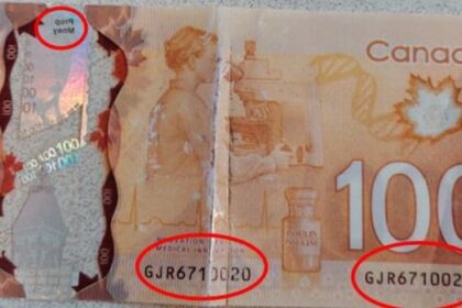 winnipeg-police-warn-of-counterfeit-cash-marked-‘prop-money’-after-$12k-seized