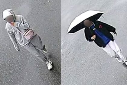 richmond-rcmp-seeking-witnesses-in-alleged-attempted-kidnapping,-vehicle-fire