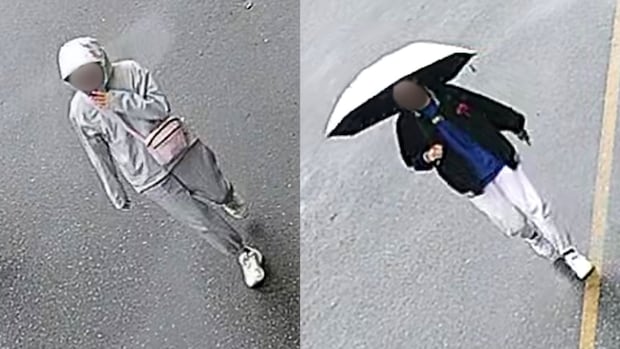 richmond-rcmp-seeking-witnesses-in-alleged-attempted-kidnapping,-vehicle-fire