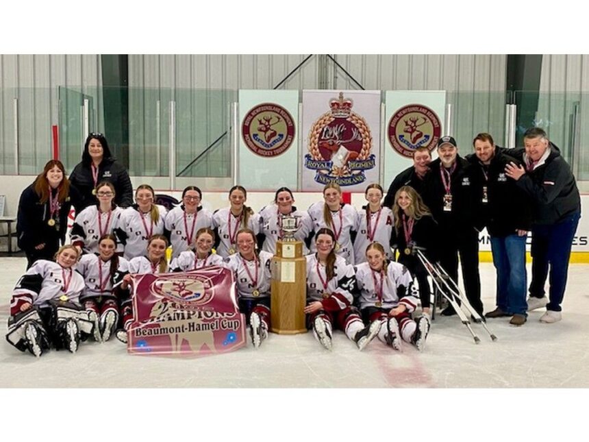 high-school-hockey-tournament-wraps-up-after-exciting-weekend