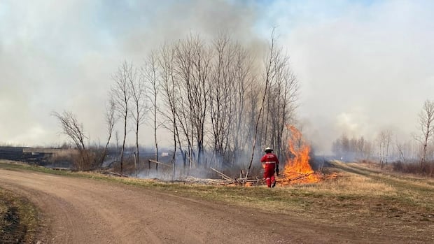 wildfire-at-james-smith-cree-nation-prompts-evacuations