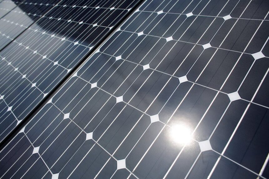 multicultural-association-of-cape-breton-partnering-on-second-solar-garden-for-sydney