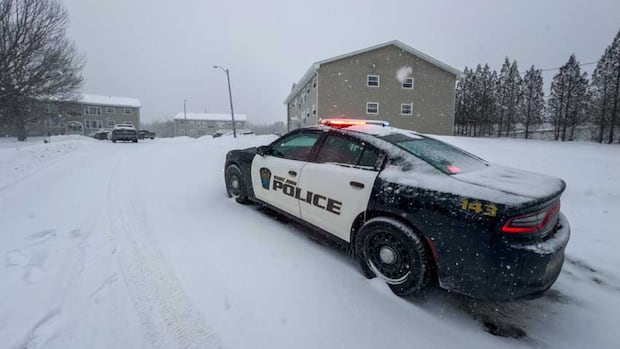 man-charged-with-murder-of-2-saint-john-boys-to-face-trial-next-summer