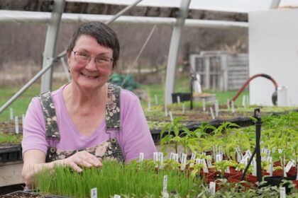 planting-before-the-may-long-weekend?-it-depends-what-you-want-to-grow,-and-how