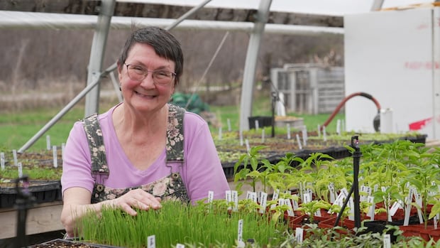 planting-before-the-may-long-weekend?-it-depends-what-you-want-to-grow,-and-how
