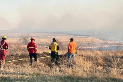 hot,-dry,-windy-conditions-prompt-fire-bans-in-prince-albert,-southern-and-central-sask.