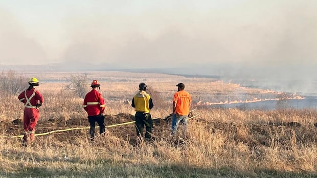 hot,-dry,-windy-conditions-prompt-fire-bans-in-prince-albert,-southern-and-central-sask.