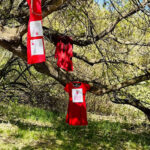 city-of-st.-albert-is-taking-action-on-red-dress-day,-what-are-you-doing?