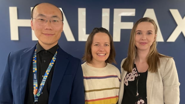 new-training-to-give-halifax-staff-skills-to-safely-stop-harassment-in-city-spaces