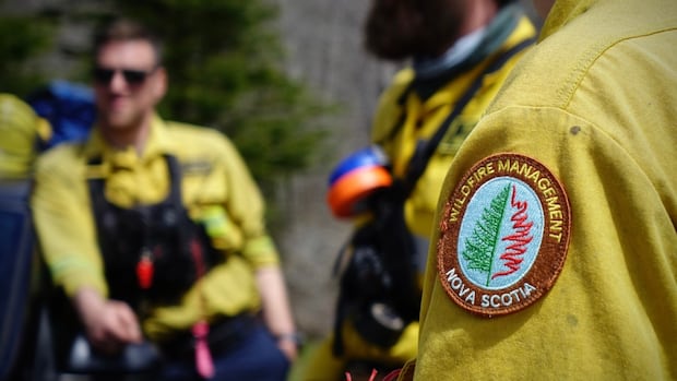 small-wildfire-in-colchester-county-under-control