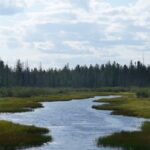 proposed-ontario-bill-would-strip-away-key-environmental-protections,-advocates-say