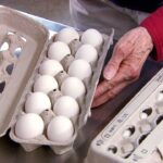 egg-farmers-boosting-monthly-donation-to-harvest-manitoba
