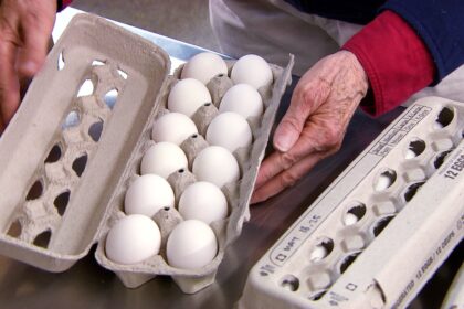 egg-farmers-boosting-monthly-donation-to-harvest-manitoba