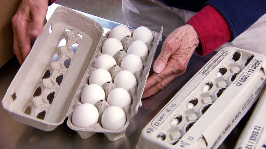 egg-farmers-boosting-monthly-donation-to-harvest-manitoba