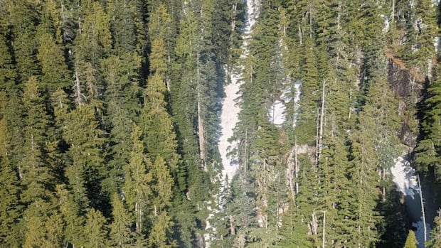 16-year-old-hiker-dies-after-fall-in-lions-bay-area