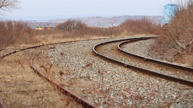 nova-scotia-government-reviewing-sydney-commuter-rail-study
