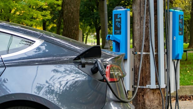 who-needs-faster-ev-charging-at-home?-drivers-share-their-experiences
