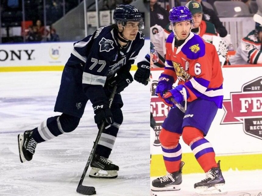 qmjhl:-championship-series-preview,-draft-rankings-released,-two-mooseheads-honoured-by-league