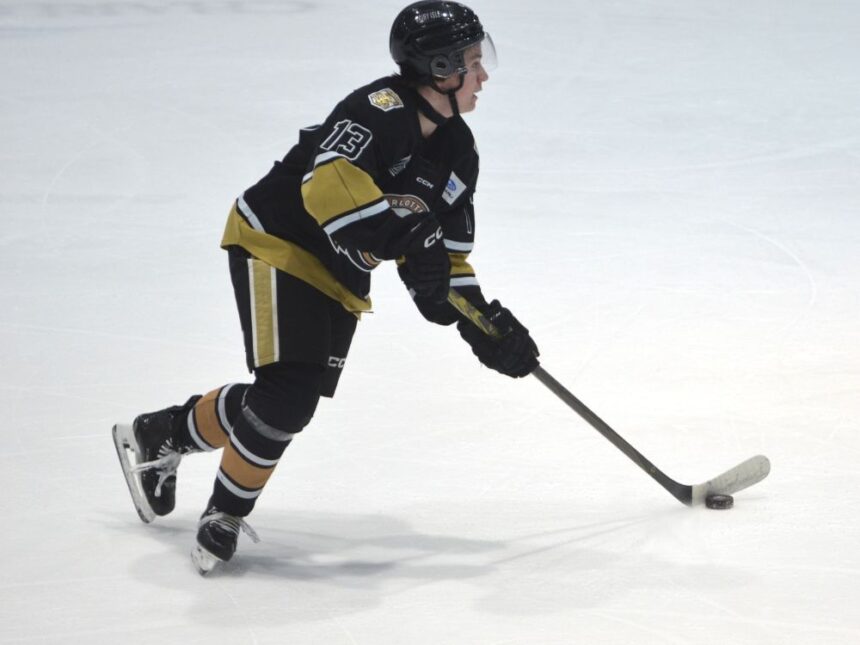 charlottetown-islanders-matthew-butler-nominated-for-qmjhl-award
