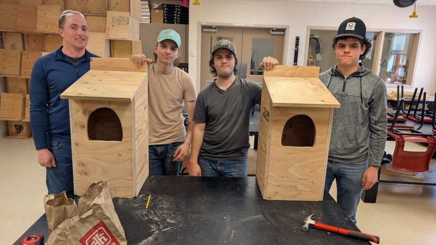 students-in-montague,-pei.,-putting-hammers-to-nails-to-help-provide-more-owl-habitat