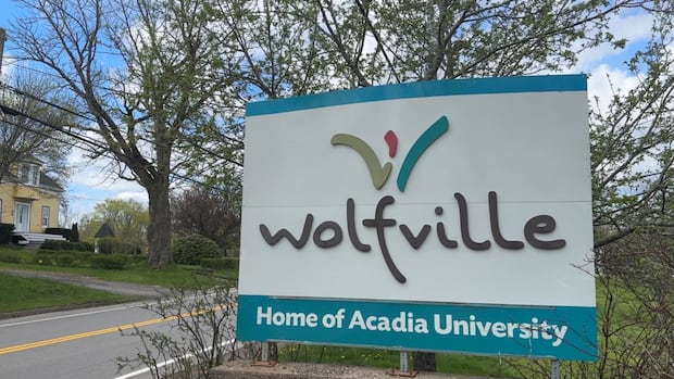 no-evidence-cameras-around-acadia-university-deterred-bad-student-behaviour,-report-says