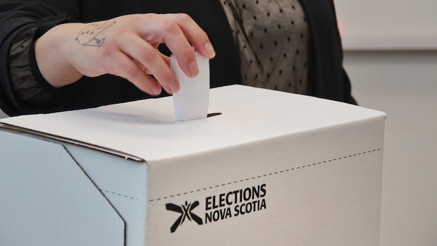 turnout-among-youngest-voters-was-below-20-per-cent-in-the-last-ns.-election