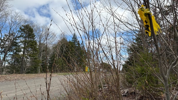 ground-search-crews-depart-ns.-community-where-children-went-missing