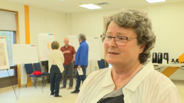 proposed-higher-density-housing-next-to-fredericton-universities-gets-mixed-reaction