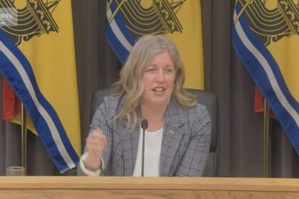 holt-presses-nb.’s-economic-priorities-in-premiers’-call-with-prime-minister